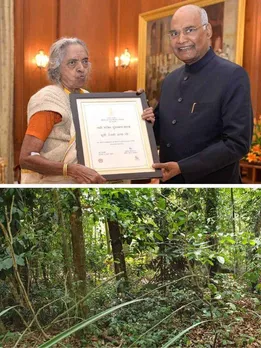How This Woman From Kerala Turned Her Backyard into a Forest: One Tree at a Time
