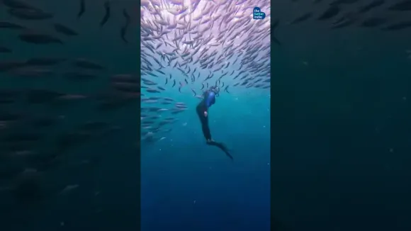 Meet Archana Sankaranarayanan — India’s deepest female freediver
