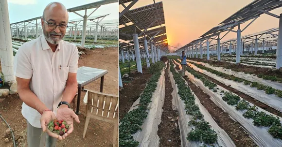 Meet The IITian Growing Organic Food Under India’s Largest Agrivoltaic Solar Plant