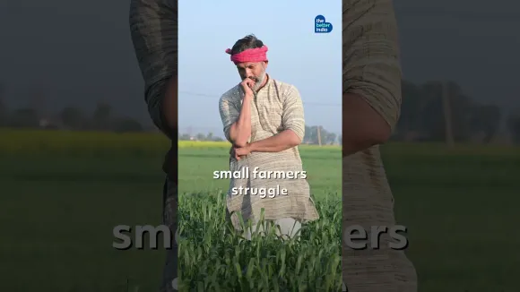 Solar Energy Freezes Water to Keep Farmers’ Produce Fresh
