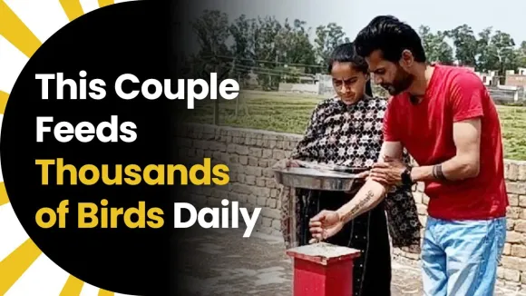 This Couple Feeds Thousands of Birds Daily
