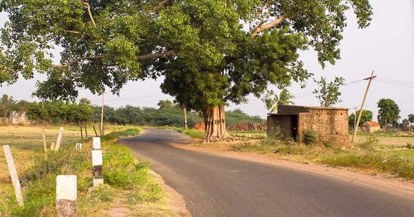 Indian Towns Once Grew Around Trees Like the Banyan — Could That Idea Save Our Cities Today?