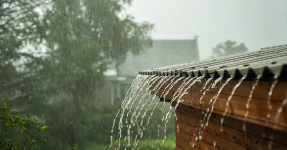 That Earthy Rain Smell We All Love? Here’s What’s Really Behind It