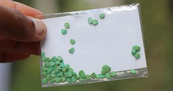 How Balcony Gardeners & Farmers Are Building Seed Banks To Keep India’s Biodiversity Alive