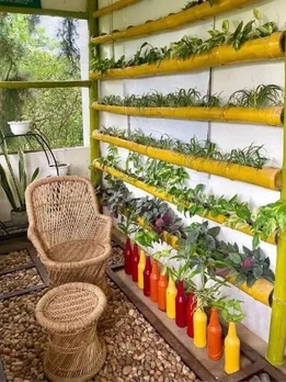 Kerala Student Builds 50 Sq Ft ‘Healing Garden’ in Hostel Corner With Air Purifying Plants