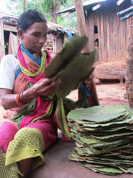 Before Sustainability Was a Trend, How Rural India Was Living It Every Day