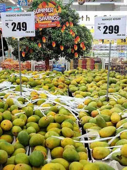 Kesar Mangoes Are Now Outselling Alphonso — What Changed in 2025