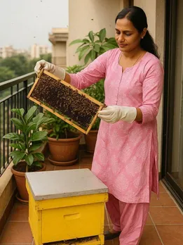 Beekeeping at Home or on a Balcony? Here Are 12 Things a Beginner Will Need