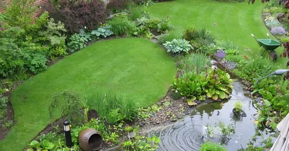 Turn Your Garden into a Monsoon Wildlife Haven with These Simple Tips