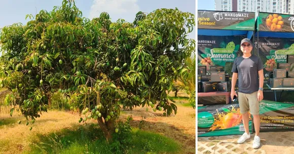 How This Bengaluru Farm Grows 25000 Mango Trees with Drones & AI