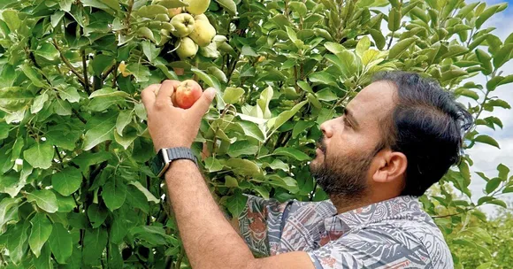 Ex-Engineer-Turned-Farmer Grows Apples & Exotic Jamuns in Maharashtra’s 44-Degree Heat