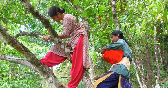 How Kerala Women Rescued a Dying Forest & Turned It Into a Safe Haven for 2000 Native Plants