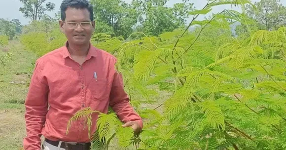This Class 12 Pass Farmer Earns Rs 8 Lakh/Year With Lac Trees in Chhattisgarh