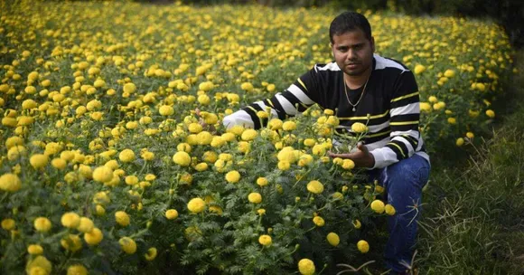 How This College Dropout Built a Rs 7 Crore/Year Marigold Business From Scratch