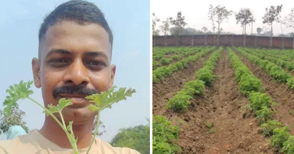 Engineer-Turned-Farmer Brings Geranium Farming to Chhattisgarh, Uplifting Villages with Eco-Friendly Innovations
