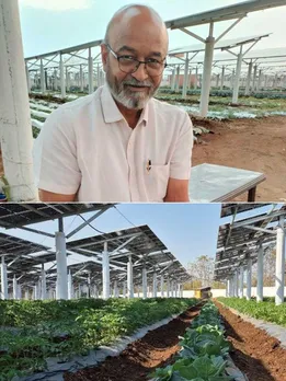 Ex-IITian Grows Lettuce & Strawberries on Solar Farm, Produces 25000 Units of Power Daily