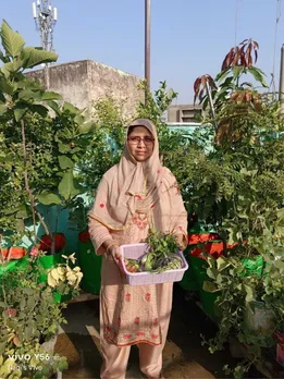 How a Jhansi Mother Built a 200-Plant Garden On Her Terrace in Memory of Her Daughter