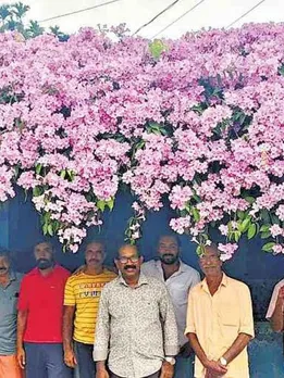 How This Bus Stop in Kerala Became a Purple Paradise; Thanks to 2 Locals