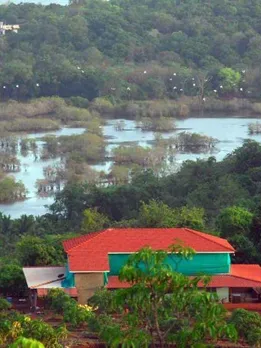 Learn Everything About Mango Farming at This Unique Stay With 2000 Trees on a 40-Acre Farm