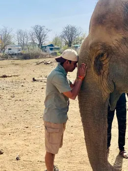 More Than Asia’s Oldest Elephant — Vatsala, ‘Dadi of the Forest’, Was the Soul of Panna for Over 100 Years
