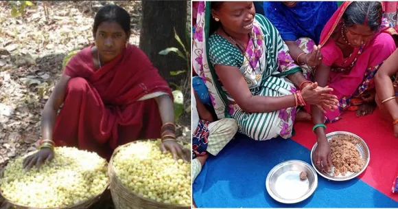 How a Forest Flower Helped This Jharkhand Village Move From Liquor Brewing to Making Laddus