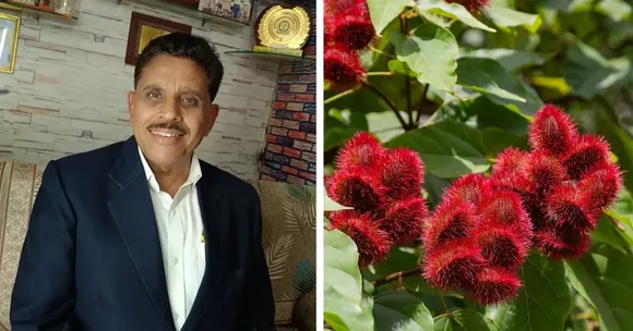Farmer From Fatehpur Turns Barren Land Into India’s First Organic Sindoor Farm & Earns Rs 45 Lakh