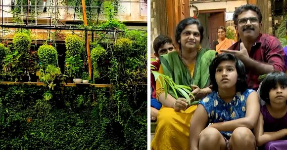 Teacher Couple Turned Their 900 Sq Ft Home Into a Living Forest With 250+ Plants Over 10 Years