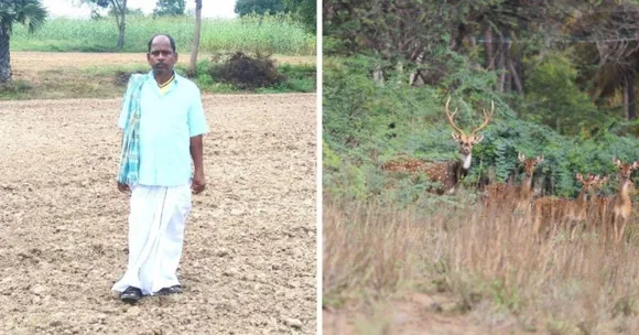 This Tamil Nadu Farmer Gave Up 50 Acres of Land — Now, 1800 Deer Call It Home