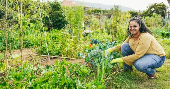 Why August is the Best Time to Reset Your Garden and How to Do It in 5 Steps