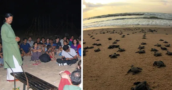 For the Love of Turtles: Meet the Volunteers Who’ve Been Protecting Olive Ridleys for 36 Years