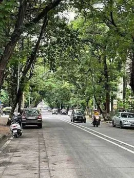 The World’s Largest Living Parsi Enclave Is Also Mumbai’s Greenest Colony & a Model for Future Cities