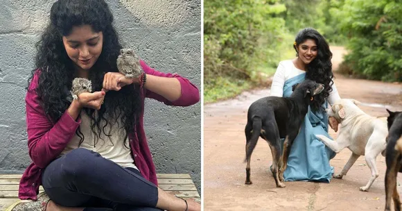 Do You Know This Kannada Actress Who Has Rescued 4000+ Animals?