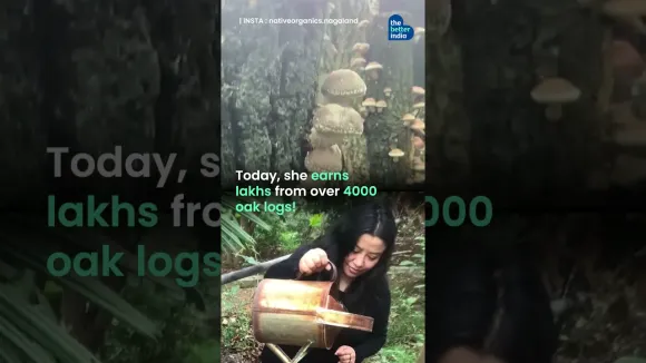 Earning Lakhs From 'Oak Log Mushrooms'