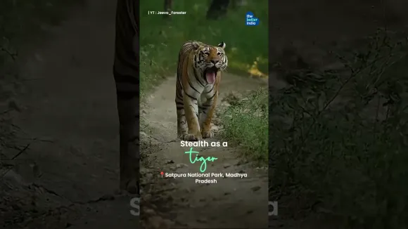 Everything At Once: Our India