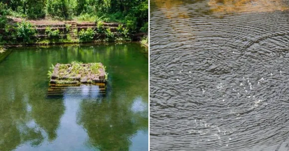Why Does This 400-YO Goan Lake Bubble When You Clap? Scientists Are Still Baffled