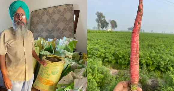 Once Mocked for Growing Carrots, Punjab Farmer Now Earns Rs 1 Cr a Year From His 80-Acre Farm
