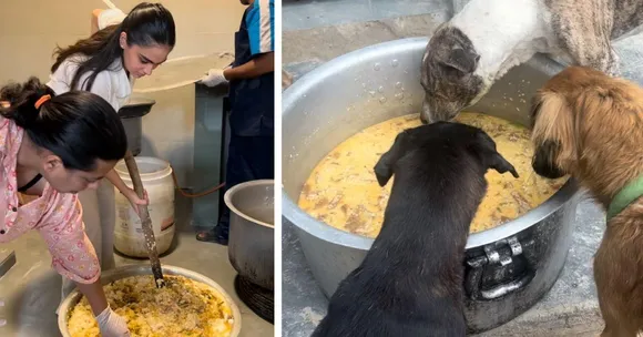Inside the Delhi Cafe Where 2 Dog Lovers Turned 5500 Kg of Leftovers Into Hope for Strays