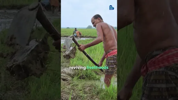 How A Teacher Became Part of a Forest Community