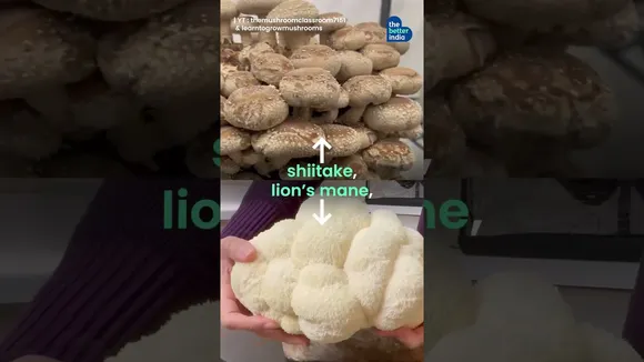 'Farm In A Room' Now Earns Her Rs 5 Lakh/Month