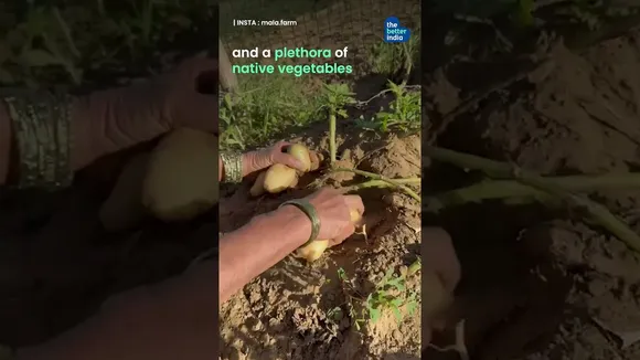 Turning Job Setback into ₹60 Lakh Organic Farm