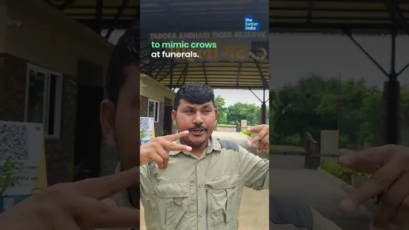 Birdman Of Tadoba Can Mimic 200+ Wild Animals