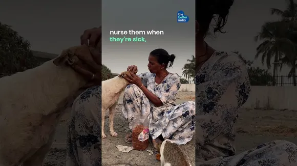 Even As Her Home's Flood, Mumbai's Animal Mom Cooks For 300+ Strays
