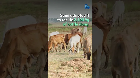 Cattle Waste Powering Village Kitchens