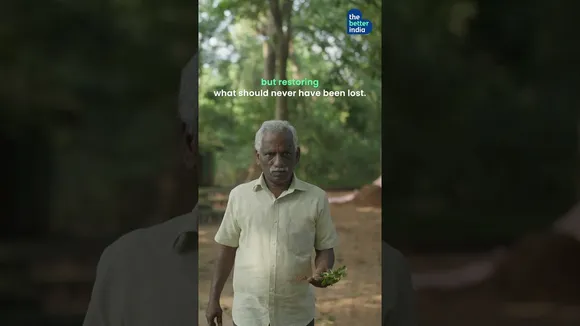 Restoring a forest, one kilometre at a time