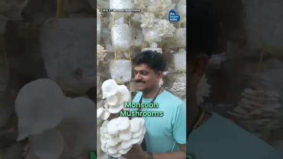 'Mushrooms In a Room' To Earning Rs 2 Cr