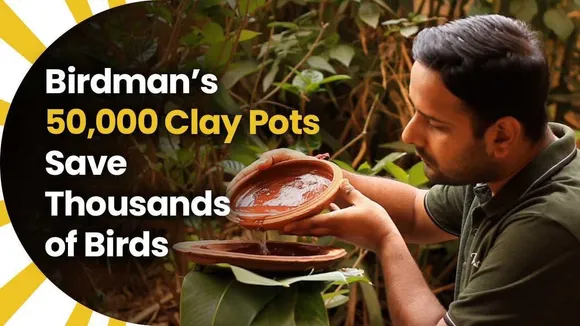 Birdman's 50,000 Clay Pots Save Thousands of Birds