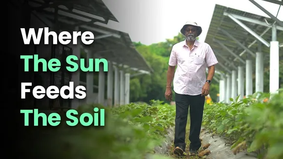 Where The Sun Feeds The Soil