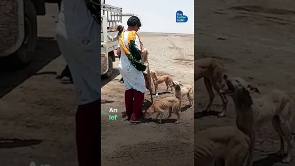 I Rescue Dogs Left To Die In The Desert