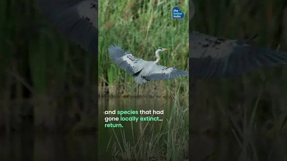 3000 Barren Acres of Land In Delhi Turned Green?