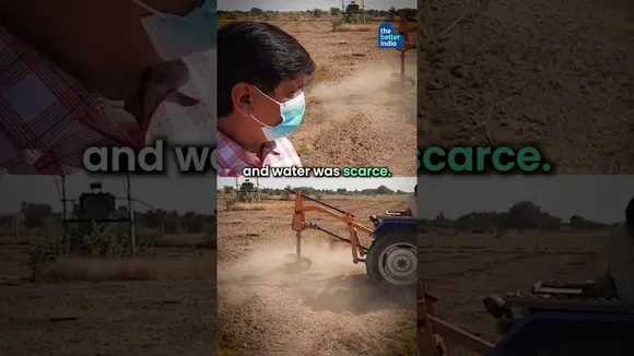 Growing Sandalwood In Hot Dry Rajasthan